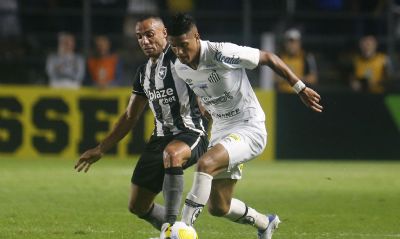 De olho em vaga na Libertadores, Botafogo recebe o Santos