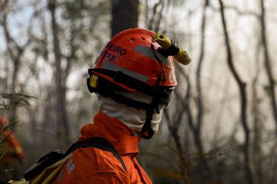 Corpo de Bombeiros controla incndio no Pantanal