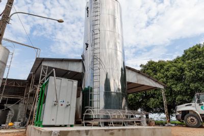 Governo entrega silo de armazenamento de leite e novilhas prenhes para produtores familiares