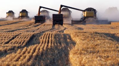 CNA prev aumento de 11,8% no Valor Bruto da Produo Agropecuria deste ano