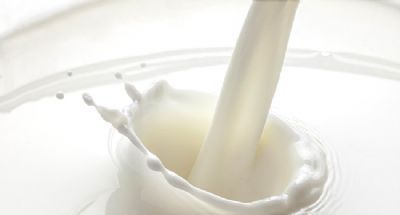 Preo do leite cai para seis centavos em agosto