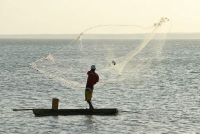 Mapa suspende mais 12,7 mil licenas irregulares de pescadores profissionais
