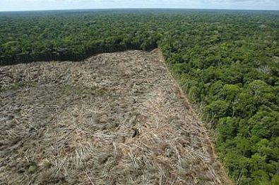 Mato Grosso tem queda no desmatamento pelo quarto ms consecutivo