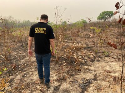 Peritos criminais esto no Pantanal para identificar origem dos incndios