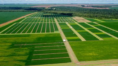 Aprosoja-MT apresenta resultados dos protocolos de manejos em solos arenosos