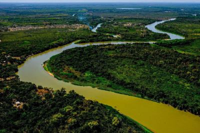 Justia decreta indisponibilidade de fazendas no Pantanal por danos ambientais