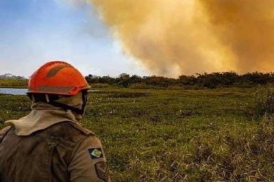 MPMT pede indenizao de R$ 8,9 milhes de fazendeiro por queimada no Pantanal