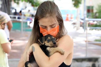 Dois shoppings de Cuiab promovem feiras de adoo de pets neste sbado