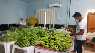 Agricultores articulam entrega de alimentos para famlias e entidades carentes