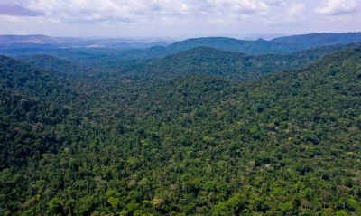 Unesco e Amazonas lanam plano de ao para Amaznia Central