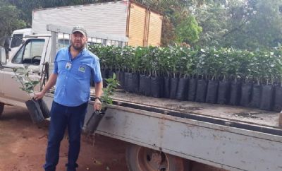 Governo auxilia agricultores na aquisio de mudas e manejo do solo para cultivo de limo Taiti