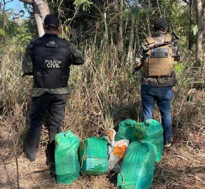 Polcia apreende 126 tabletes de cocana enterrados em stio na regio de fronteira
