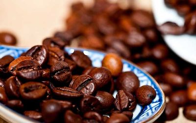 Novas variedades garantem existncia do caf