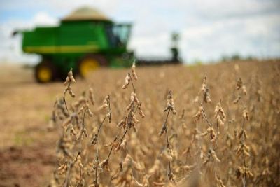 Com produtividade recorde, colheita da soja em MT  a mais avanada do Pas
