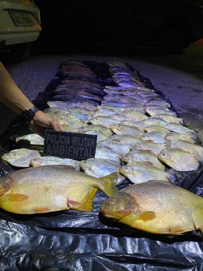 Batalho Ambiental apreende 45 kg de pescado irregular durante fiscalizao