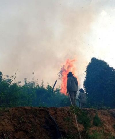 Brigada Sesc Pantanal atua de forma integrada para evitar propagao de incndios no bioma