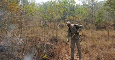 Sesc Pantanal prorroga inscries para brigada de incndios com salrios de at R$ 4,4 mil