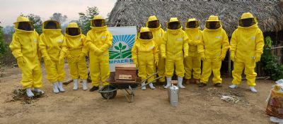 Indgenas participam de oficina da Empaer para fomentar a produo de mel no Vale do Araguaia