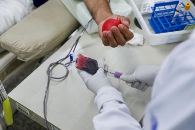 MT Hemocentro coletou 39 mil bolsas de sangue e ajudou a salvar at 100 mil pacientes em 2023