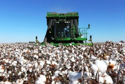 Brasil sonha com liderana na exportao de algodo em 2023