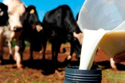 Governo faz chamamento pblico para fomento da bacia leiteira em MT