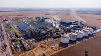 Produo de biomassa deve crescer em MT com avano industrial
