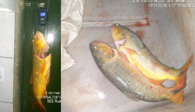 Batalho Ambiental encontra homens com pescado proibido e aplica multa de R$ 10 mil
