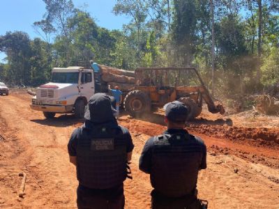 Trs so presos por desmatamento ilegal no Norte de Mato Grosso