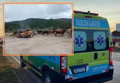 Vdeo | Motorista que tombou caminho com gado relata que saqueadores mataram boi na BR-364