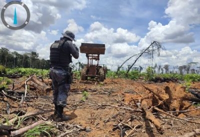 Estado apreende oito tratores em operao integrada contra desmatamento ilegal