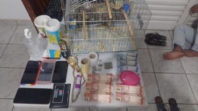 Trio  preso com drogas e aves em cativeiro so resgatadas