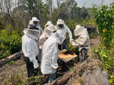 Empaer realiza curso de apicultura com foco na comercializao de mel silvestre