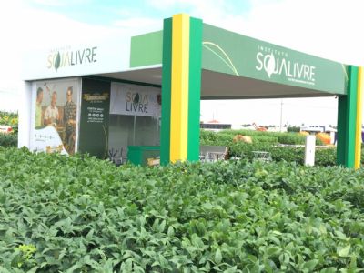 Instituto Soja Livre apresenta variedades convencionais em eventos em Mato Grosso