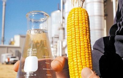 MT produz 3 vezes mais etanol do milho do que da cana-de-acar