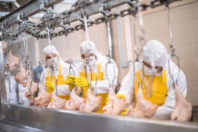 Exportao de frango mato-grossense cresce 130% no primeiro bimestre de 2023