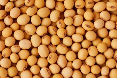 Exportador de farelo soja dos EUA relata venda de 105 mil t para a Colmbia