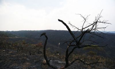 Desmatamento e incndios prejudicam chuvas e impactam agricultura, afirmam pesquisadoras