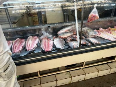 Sema fiscaliza estoques de peixes de estabelecimentos comerciais