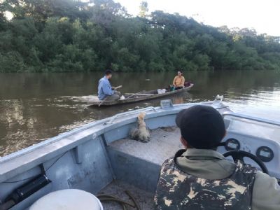 Fiscalizao ambiental devolve ao Rio Cuiab 500 peixes apreendidos