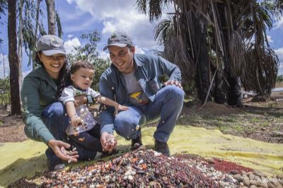 Corredores ecolgicos restauram ecossistemas no Xingu Araguaia