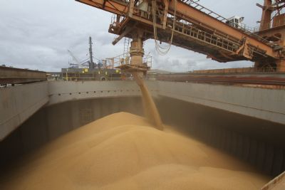 Problemas logsticos da Argentina potencializa exportaes da soja brasileira