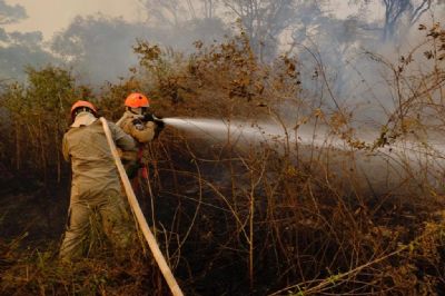 Mato Grosso decreta proibio de queimadas entre 1 de julho e 31 de outubro