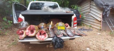 Sema apreende 118 kg de pescado ilegal durante operao na comunidade So Gonalo Beira Rio