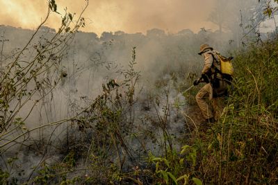 Senadores criam Comisso Especial e devem visitar pantanal em chamas