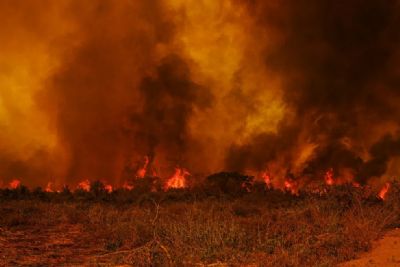 J so mais de 9 mil hectares queimados em incndio no Parque Estadual Encontro das guas
