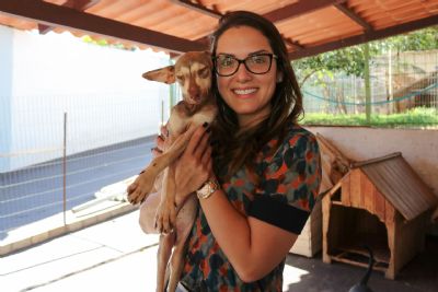 Projeto prev implantao de canis para animais abandonados em penitencirias