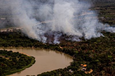 Percia constata que incndio em reserva no Pantanal foi provocado por ao humana