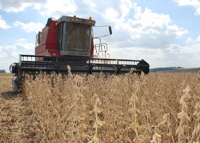 Colheita da soja passa dos 14% em Mato Grosso e supera mdia dos ltimos 5 anos