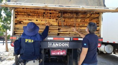 PRF apreende mais de 200 m de madeira irregular em operao contra crimes ambientais