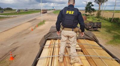 Caminho  flagrado transportando madeira ilegal